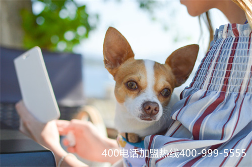 (重慶400電話選號流程)(免費400電話申請一般多少錢)